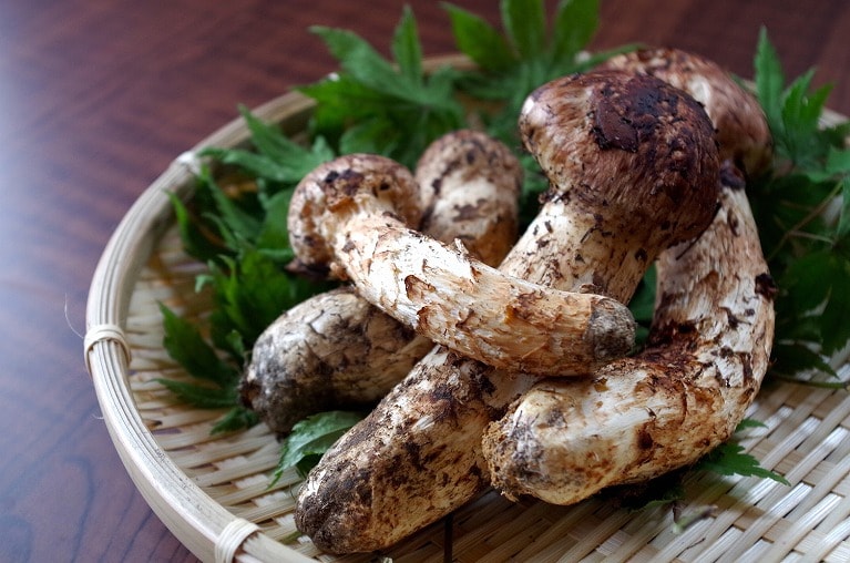 四季を盛り込んだ串揚げ